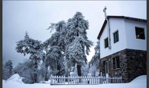 Jubilee Hotel Troodos