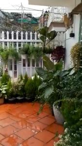 Đà Lạt Homestay - Lối Nhỏ