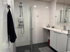 Apartment with chance to see Aurora at city center