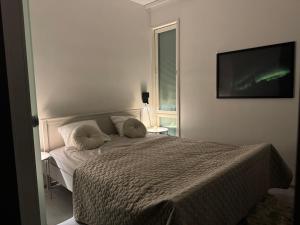 Apartment with chance to see Aurora at city center