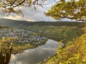 Ferienwohnung Moselblümchen Amelie