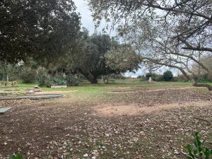 Uniek vakantiehuis aan het strand