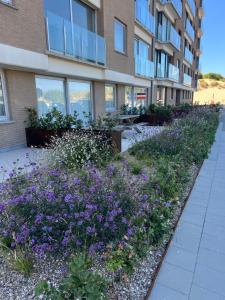 Boutique appartment with vue on sea and dunes