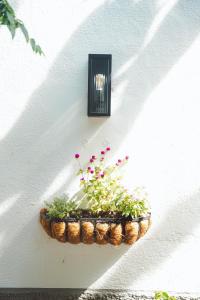 Les Filles (antiga Fonda de la Parra)