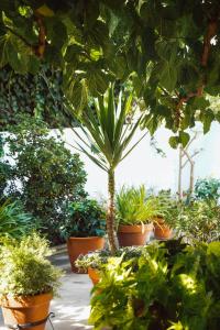 Les Filles (antiga Fonda de la Parra)