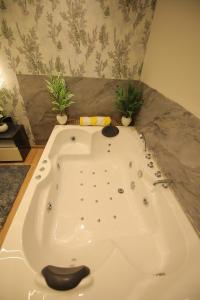 Luxury Jacuzzi Studio in Noida By DayDream