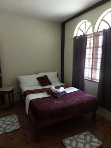 Trishuris Guest House