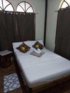 Trishuris Guest House
