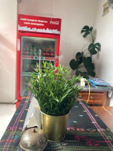 RBE Hotel Kuta 3- 5 Min to Airport&Beach by Micky Studio