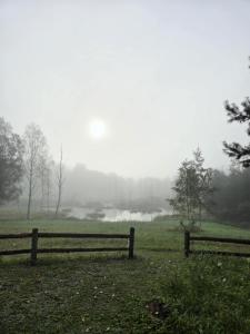 Terra Gratia - namukas Išminčius