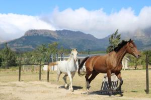 La Vita Romantic Getaway Cabin