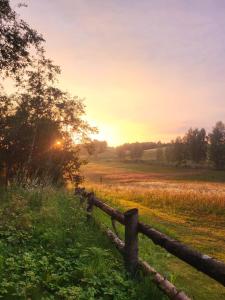 Terra Gratia - namukas Išminčius