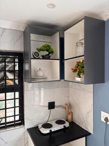 Browns villa and construction pty ltd