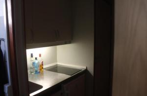 One Bedroom Apartment