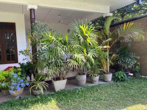 Unawatuna House