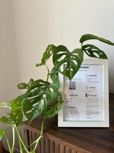 Rhome Holiday Home Casal Bertone