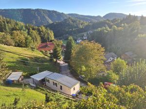 Lexi Zen House
