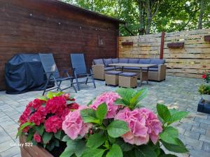 Dom w Zaciszu Drzew Szkotowo