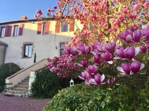 LE JARDIN SUSPENDU Domaine Le Carteron