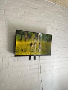 Bohemian hideout in the CBD