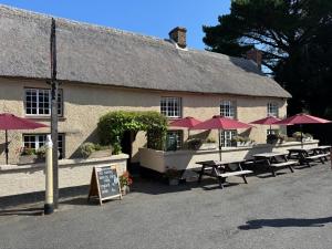 Drewe Arms Bunk Rooms & Church Cottage