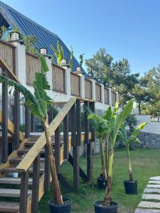 Kızılcavadibungalows