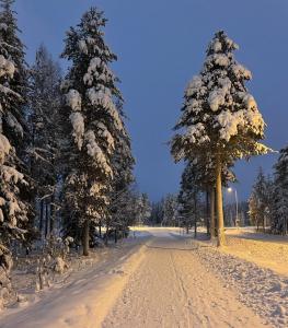 Three-bedroom apartment with sauna and hot tub