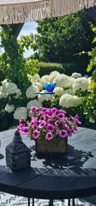 Romantisch Huisje nabij het strand met uitzicht op de tulpenvelden