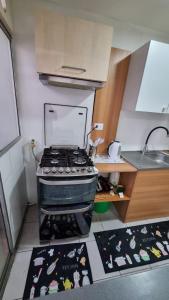 Departamento 4 persona, cercano a playa, Peñuelas