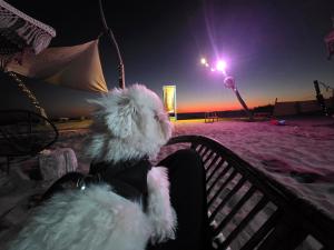 Fiumicino Beach - Sleep & Fly