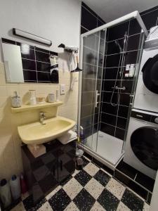 Le Cygne Canet Plage