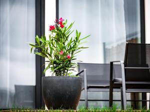 Panorama Luxury House