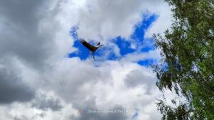 Warmińska Polana - Nowy, całoroczny dom na 2 ha łące dla 8 osób - Gietrzwałd