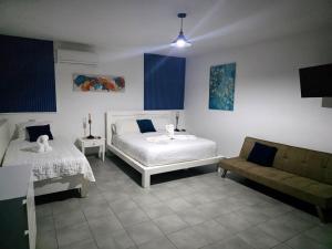 RELAX STUDIES DELUXE SOL CARIBE