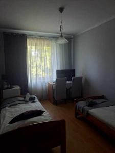 Restauracja - Hotel Nova