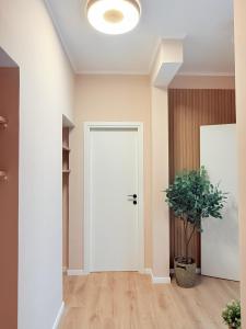 Santa Maria Apartment Rome