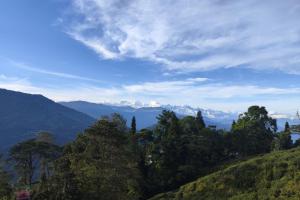Pailang A Darjeeling Tea Garden Cottage Homestay