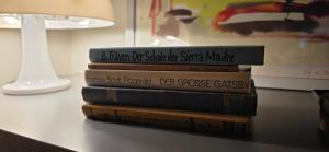 EG-Apartment mit Terrasse in Görlitzer Innenstadtlage!