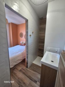 Appartement T2 avec jardin - Saint Maurice lExil