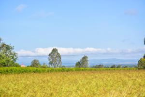 Ole-lekurruki Naromoru Cabins