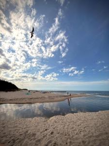 Duna Verde, Duna Marina