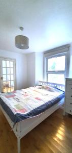 Spacious Garden Flat in Queens Park