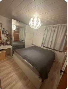 Entire house only 20 min from Copenhagen center