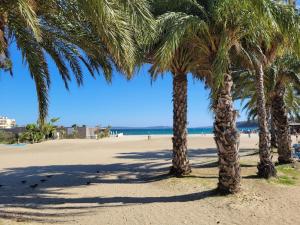 Cozy beachfront studio