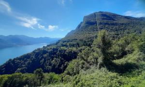 Il Giardino vista lago