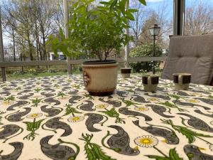 Near beach summer house in Farhultsbaden