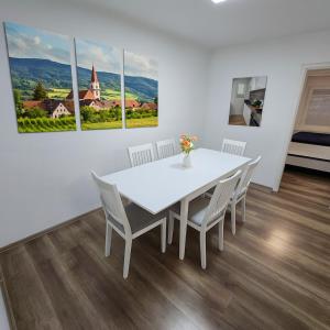 House with garden near Vienna & airport