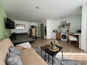 DvaroStudio jaukus butas centre self-check-in