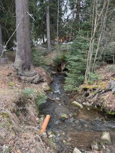 Borovetz Gardens MVS Apart E28