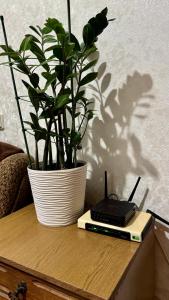 Апартаменти в центрі міста